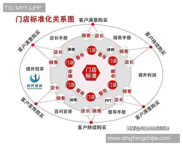 深入分析IG的运营策略与成功秘诀探讨