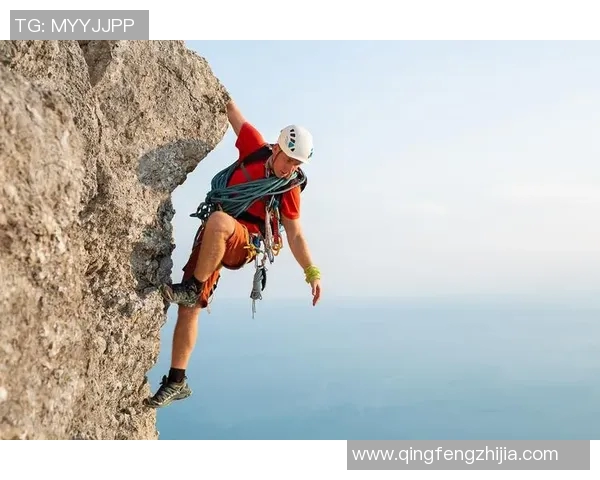 深圳攀岩队在极限运动世界杯中的速度表现分析与点评