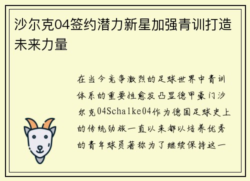 沙尔克04签约潜力新星加强青训打造未来力量